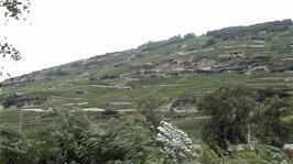 Unique landscapes at Corin, between Sierre and Granges, 41.3 miles into the ride